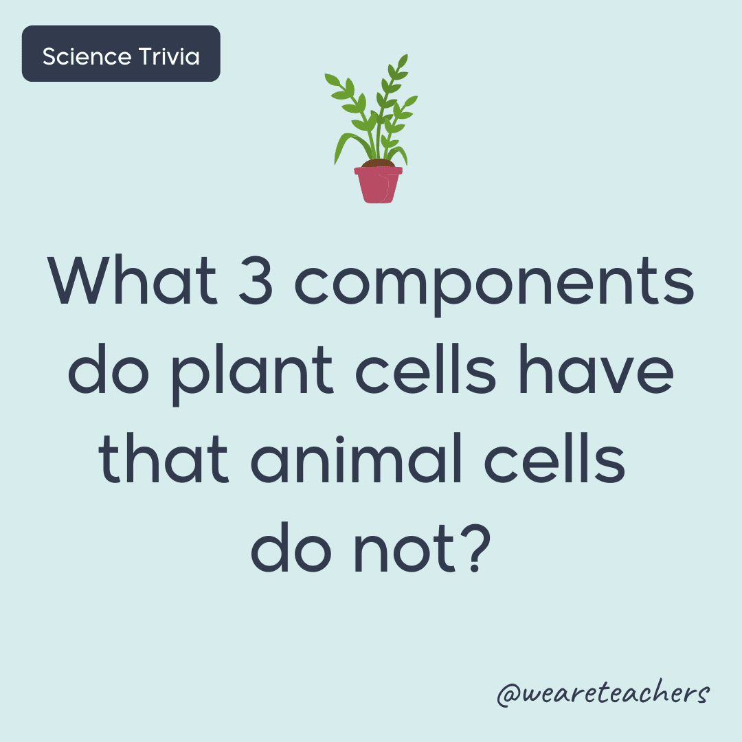What 3 components do plant cells have that animal cells do not? - science trivia
