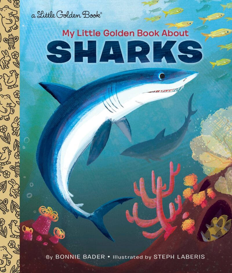 Çocuklar için köpekbalığı kitaplarına bir örnek olarak, Steph Laberis tarafından denizin altındaki köpekbalıklarının resmiyle resmedilen Bonnie Bader'in Köpekbalıkları Hakkındaki Küçük Altın Kitabımın kitap kapağı