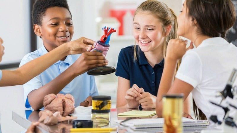 Technical skills are important to learn—but so are soft skills.