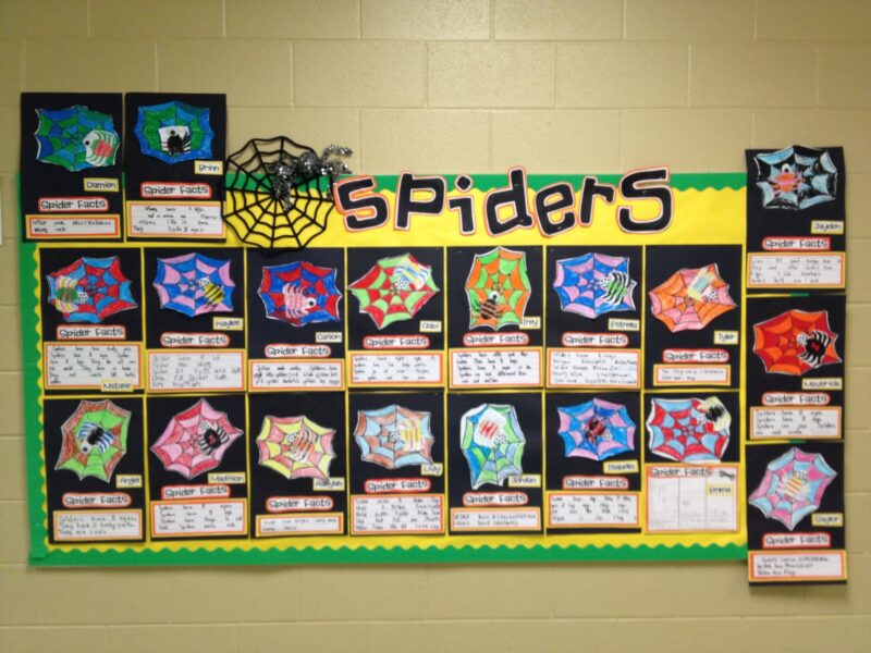 A bulletin board says "spiders" and has student done worksheets on spiders all over it.