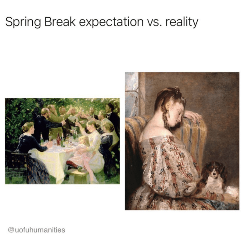 expectation vs reality of spring break