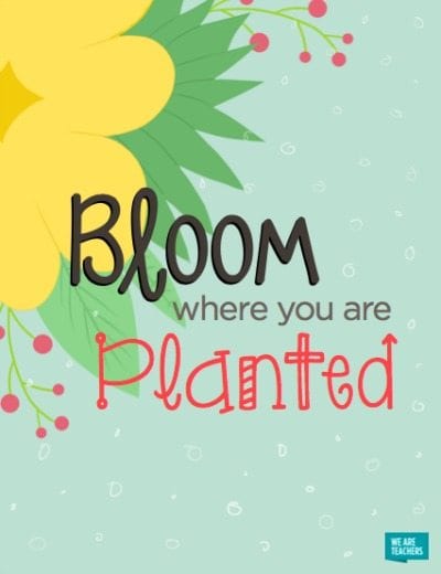 Spring posters Bloom where you are planted.