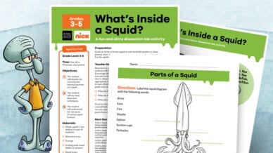 Flat lay of Squid Lab Dissection Activity PDF with Squidward