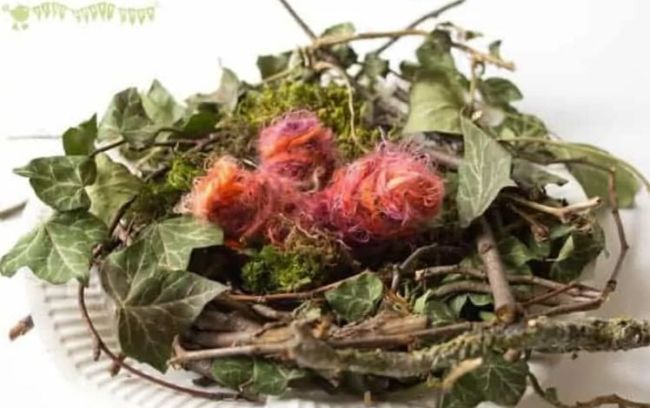 Bird nest built from twigs, leaves, and other materials