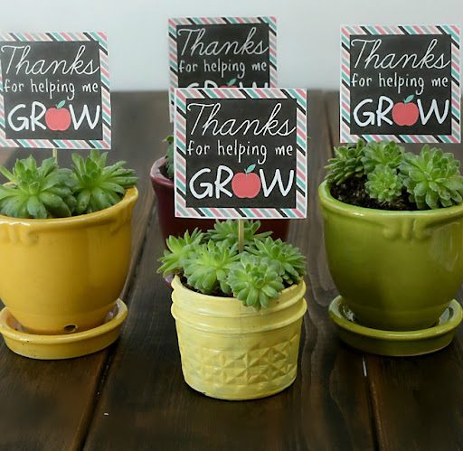 Succulents with thank you notes in them- DIY Teacher Gifts