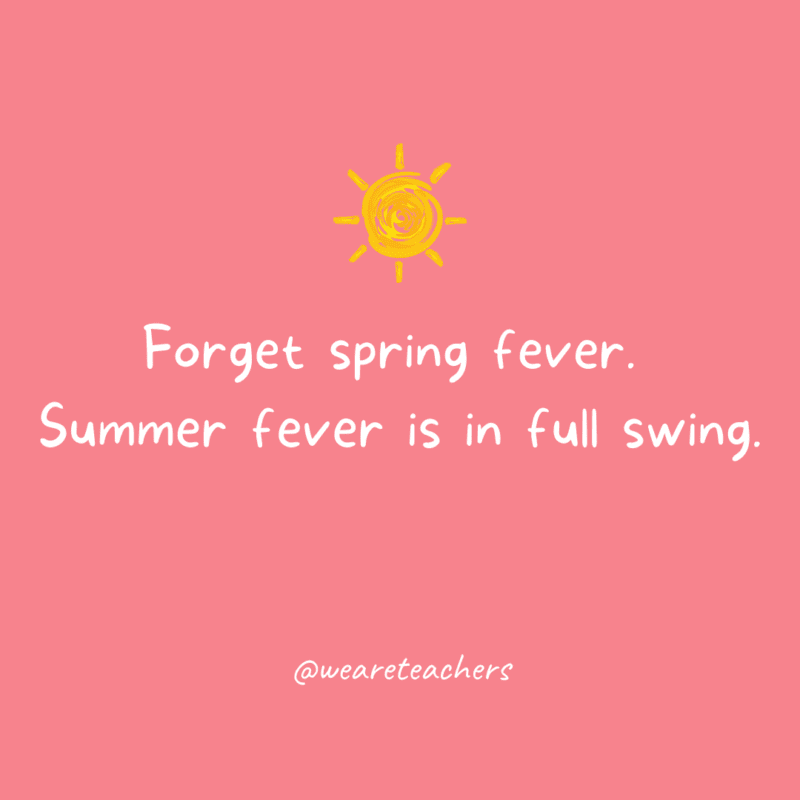 Summer fever in full swing