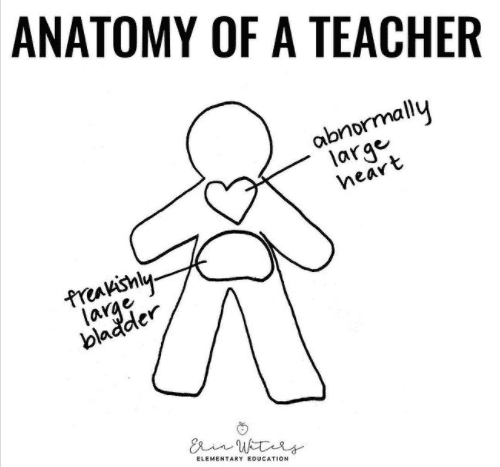 Anatomy of a Teacher