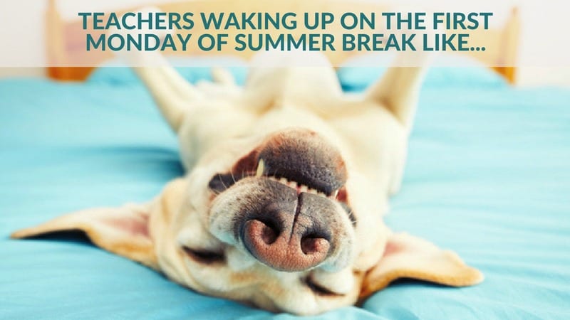 Image result for teachers excited for summer break meme