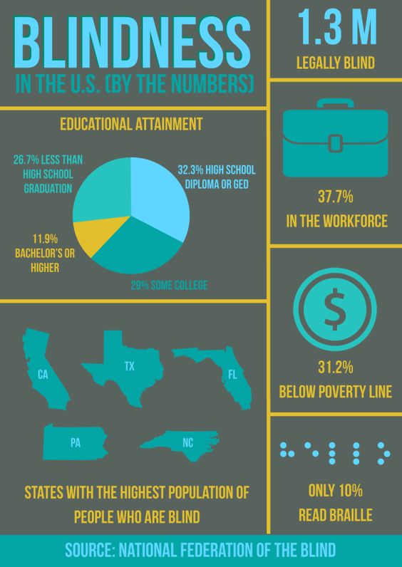 Infographic about blind students in the U.S.