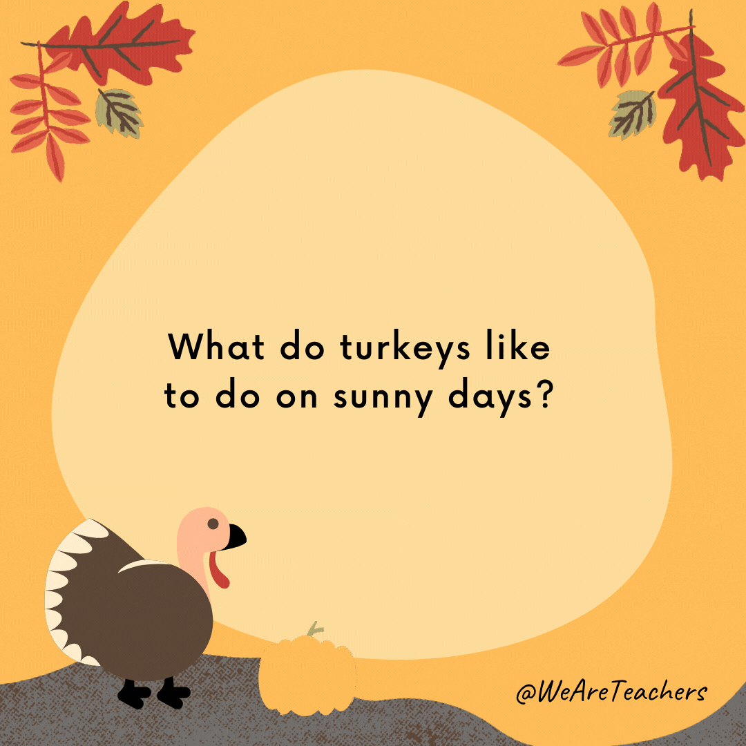 What do turkeys like to do on sunny days?