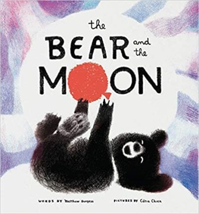 Book cover for The Bear and the Moon as an example of kindergarten books