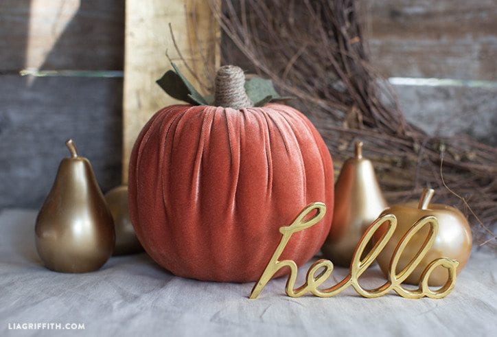 Velvet Pumpkins