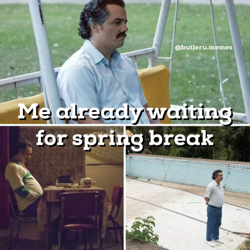 me waiting for spring break