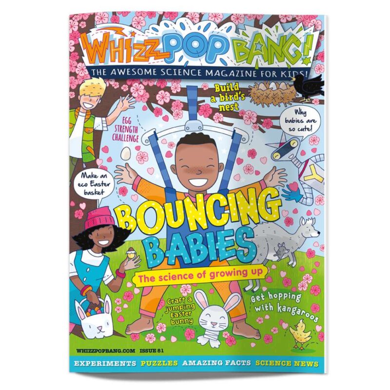 Cover for Whizz Pop Bang as an example of best science magazines for kids