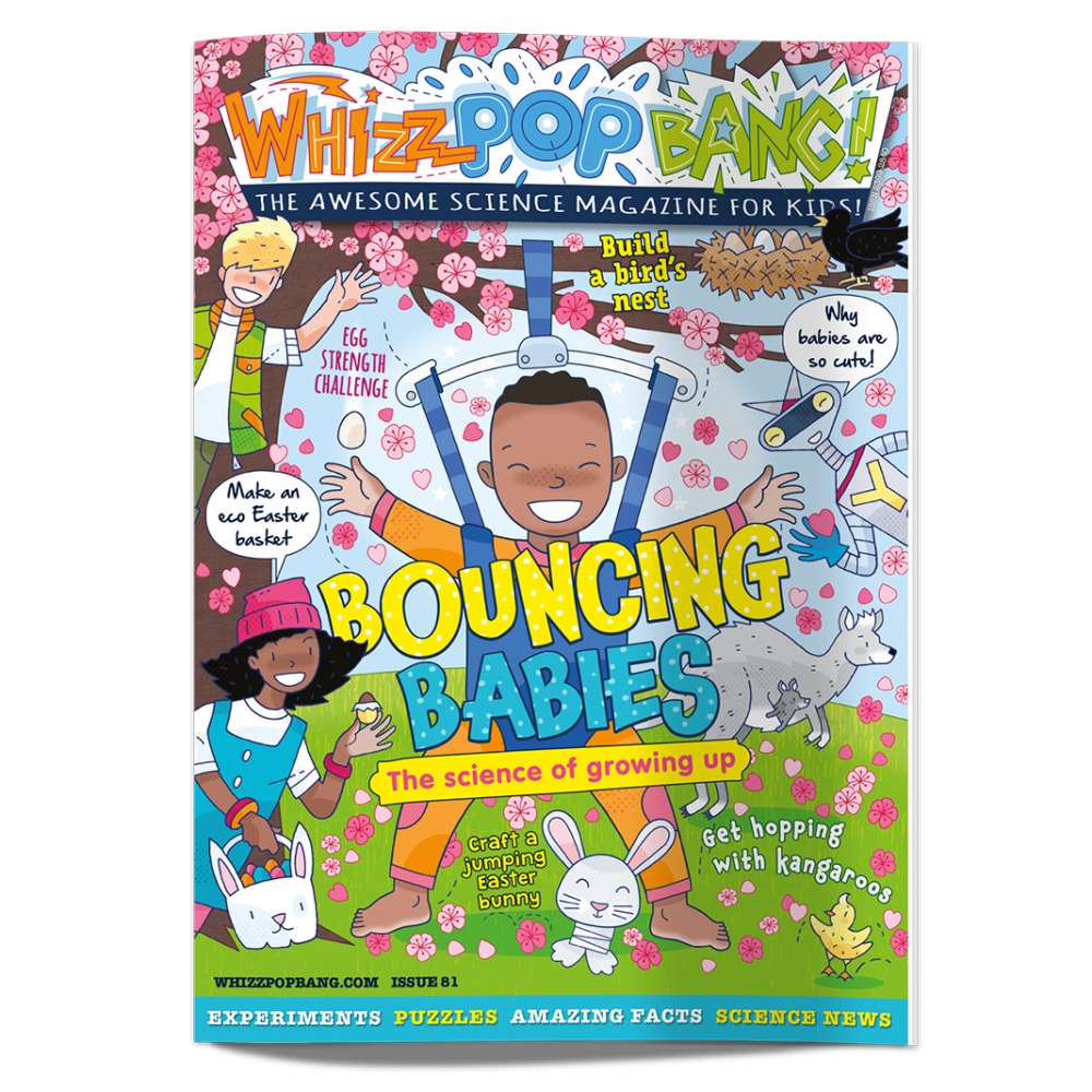 Best Science Magazines for Kids, as Chosen by Teachers