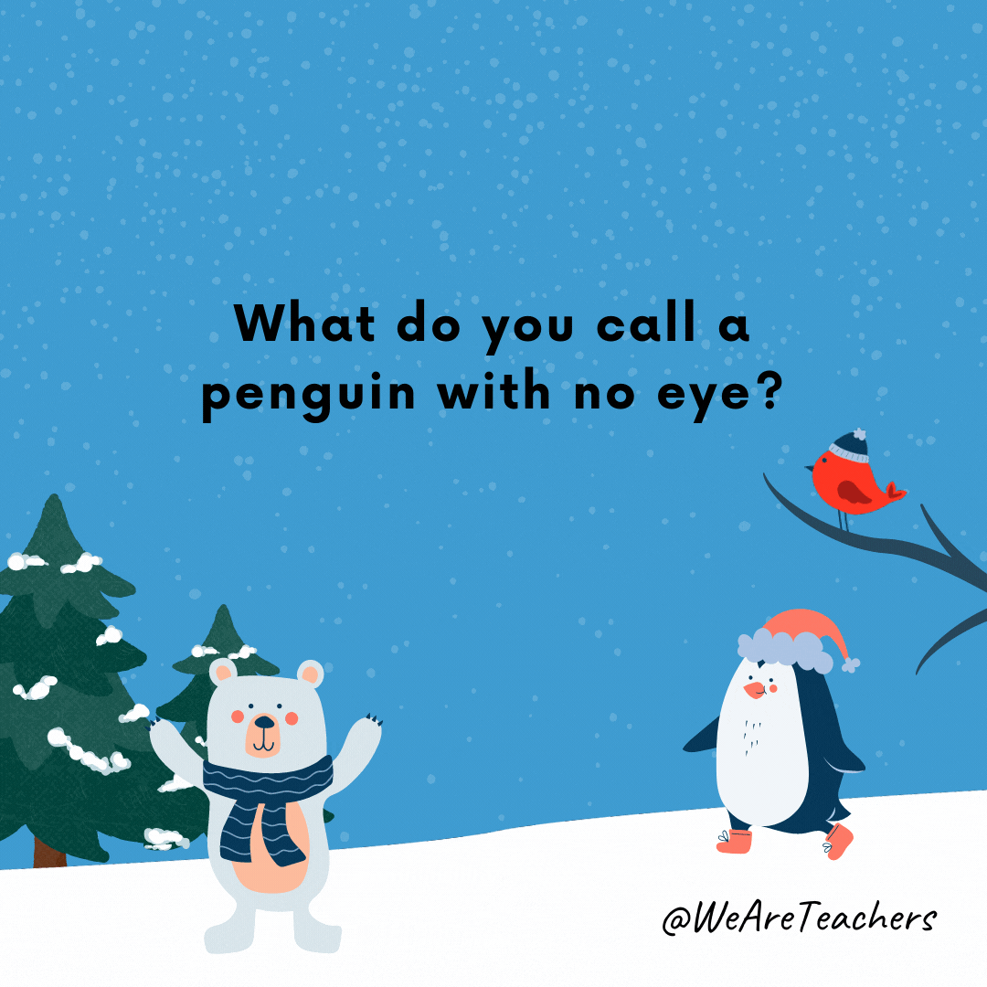 ¿Cómo llamas a un pingüino sin ojo?  ¡Un pangano!