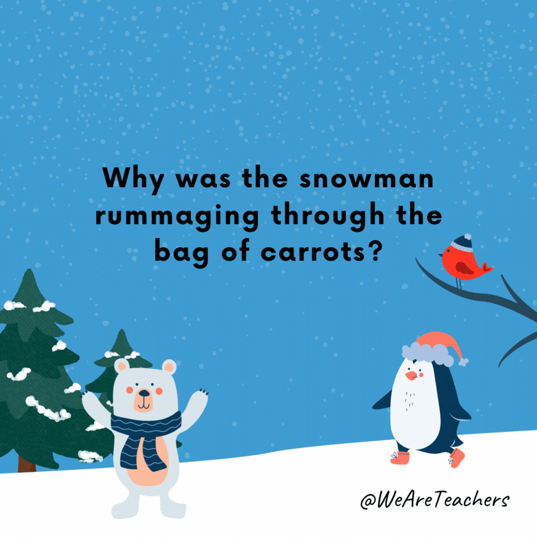 Why was the snowman rummaging through the bag of carrots?