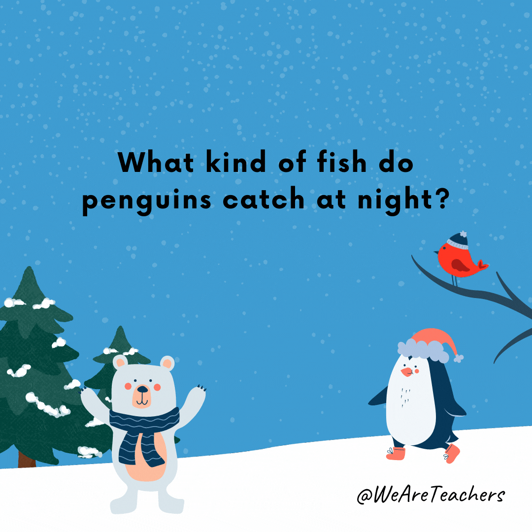 ¿Qué tipo de pescado capturan los pingüinos por la noche?  pez estrella!