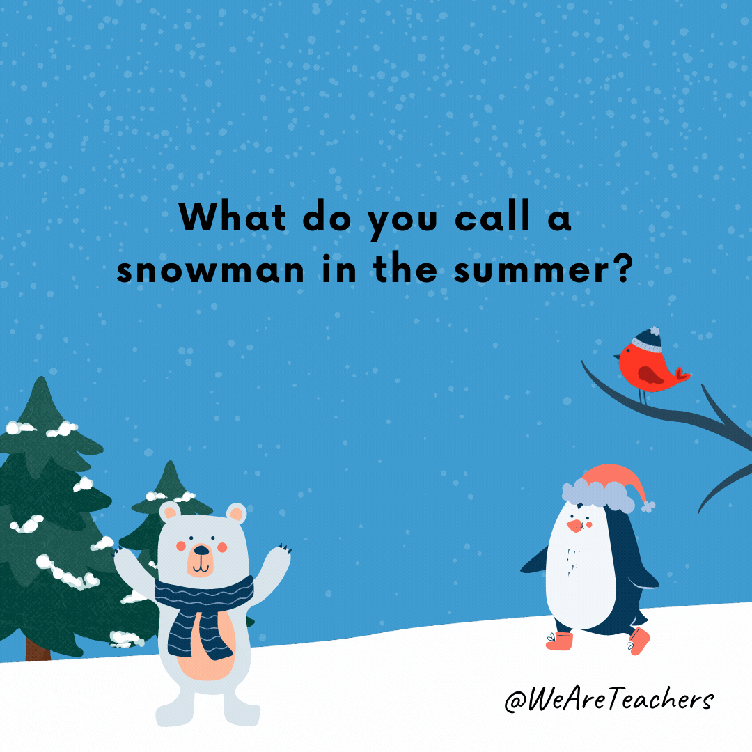 ¿Cómo llamas a un muñeco de nieve en verano?  una planta