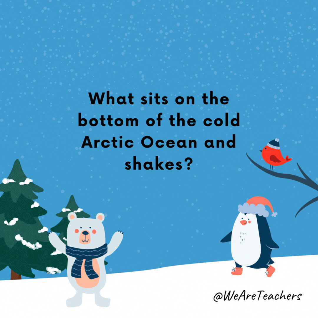 ¿Qué se sienta y vibra en el fondo del frío Océano Ártico?