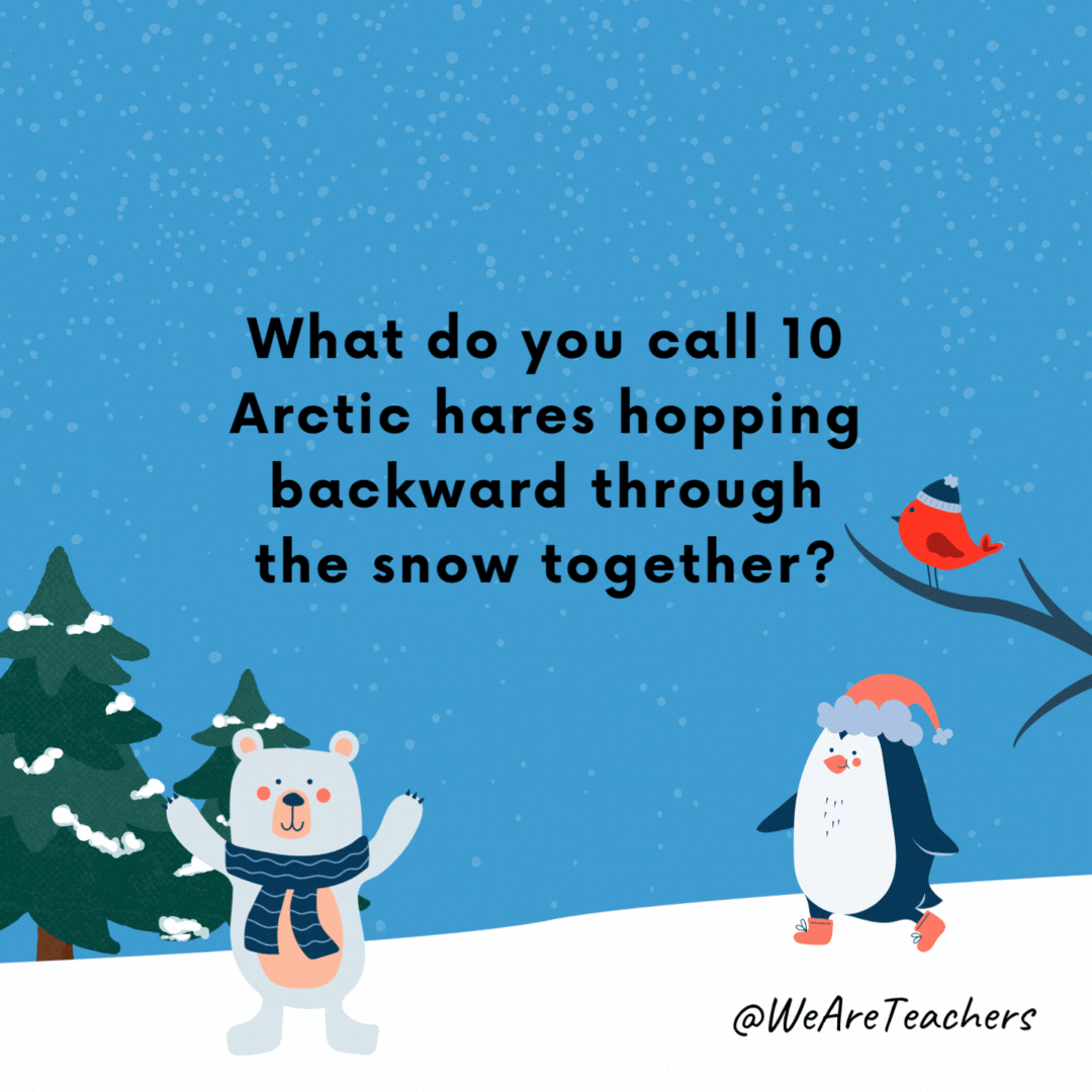 What do you call 10 Arctic hares hopping backward through the snow together?