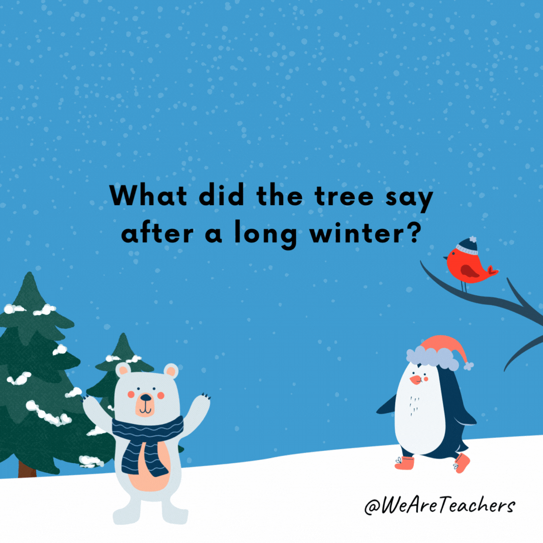 ¿Qué dijo el árbol después de un largo invierno?