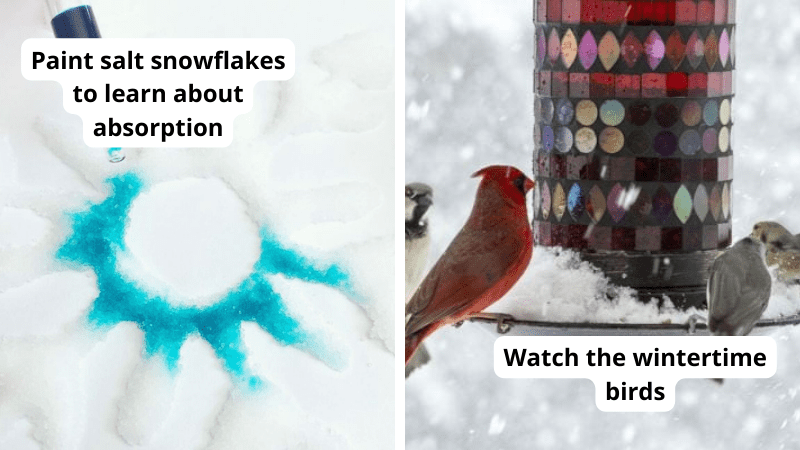 Examples of winter science experiments