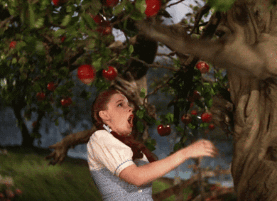 School field trips GIF - Dorothy Taking an Apple 